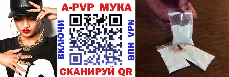 Альфа ПВП СК  Волгореченск 