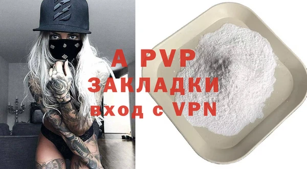 a pvp Белокуриха