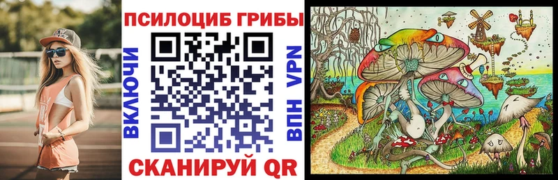 цены   Волгореченск  Галлюциногенные грибы MAGIC MUSHROOMS 